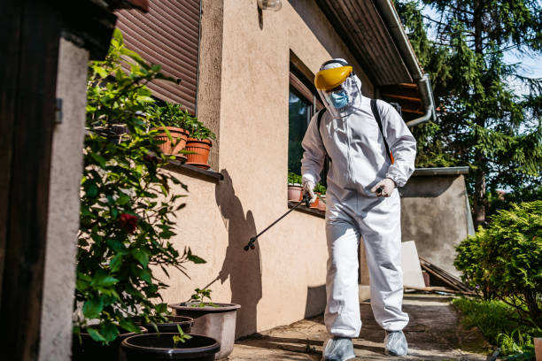 Best Best Pest Control Companies  in Hermitage, PA