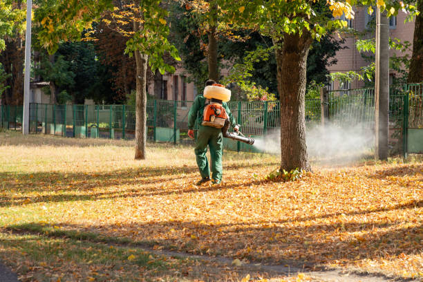 Best Commercial Pest Control Services  in Hermitage, PA