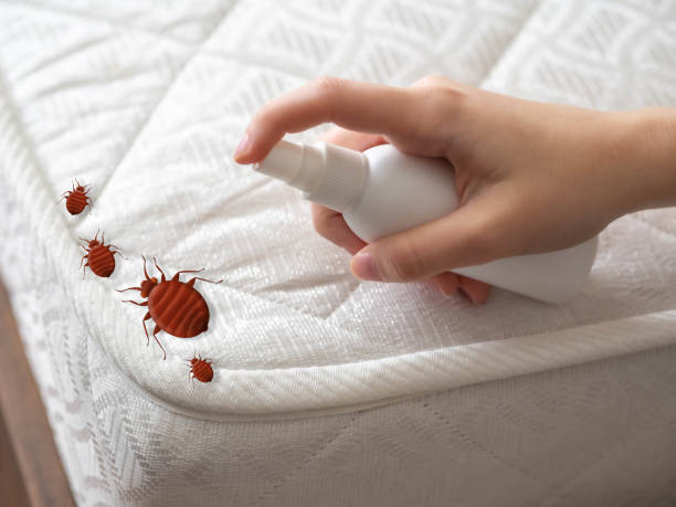 Best Local Pest Control Services  in Hermitage, PA